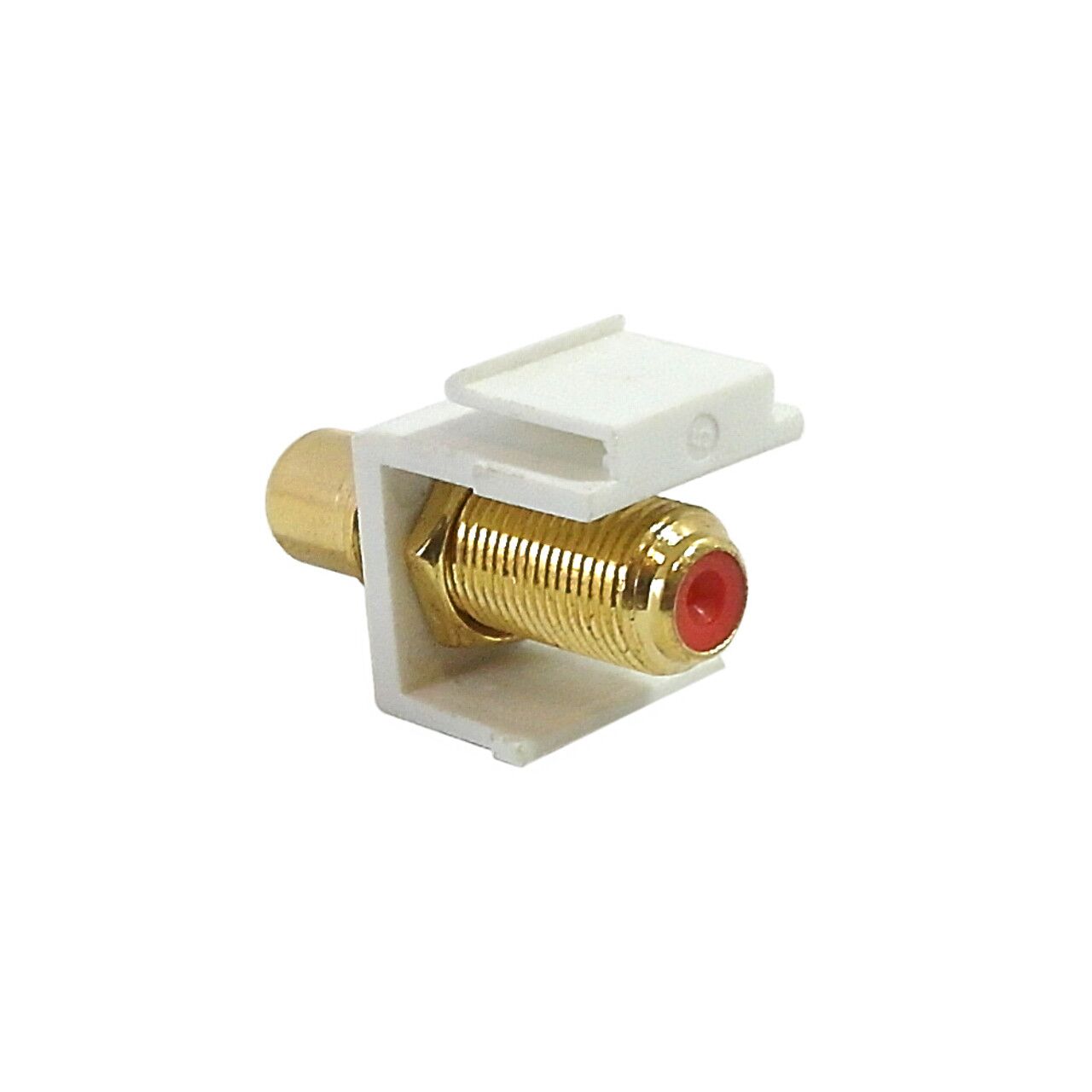 WP IN FR RD alt 51259