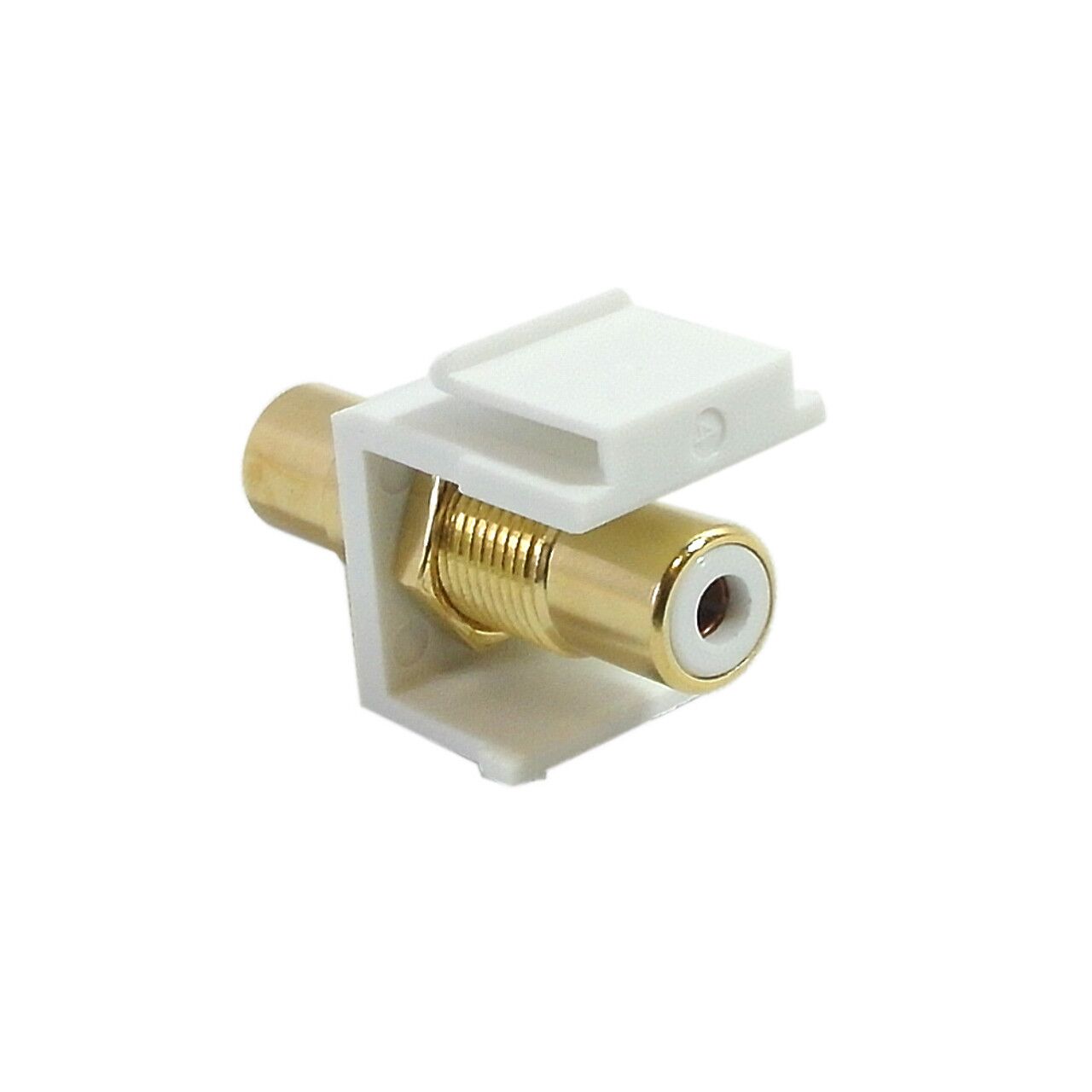 WP IN RCA WH alt 61403