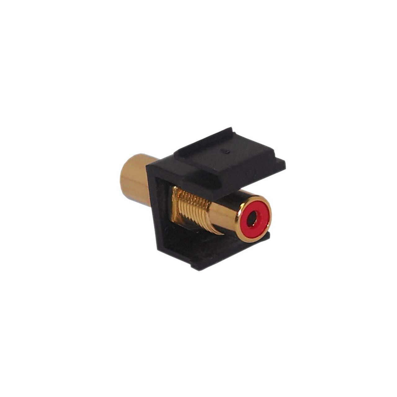 WP INB RCA RD alt 44069