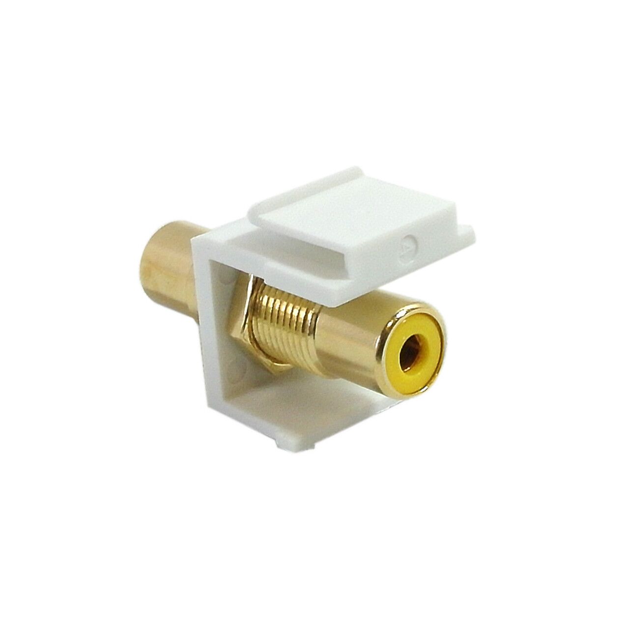 WP IN RCA YL alt 69882