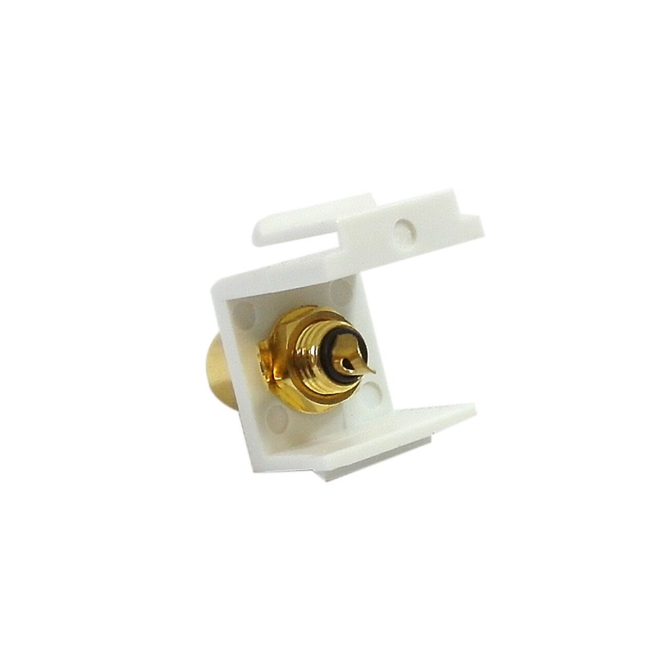 WP IN RCAS BK alt 61743