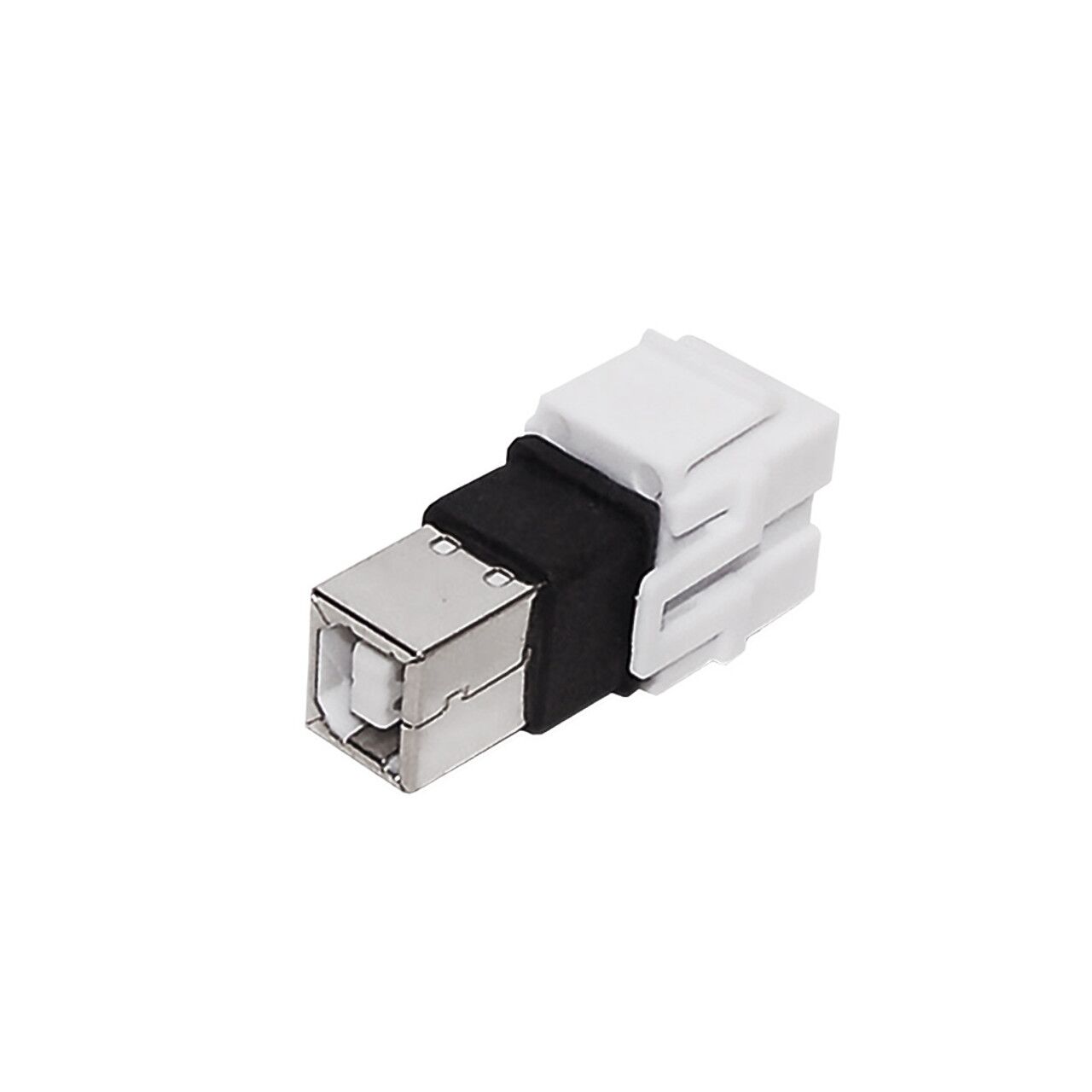 WP IN USB4 alt 02031